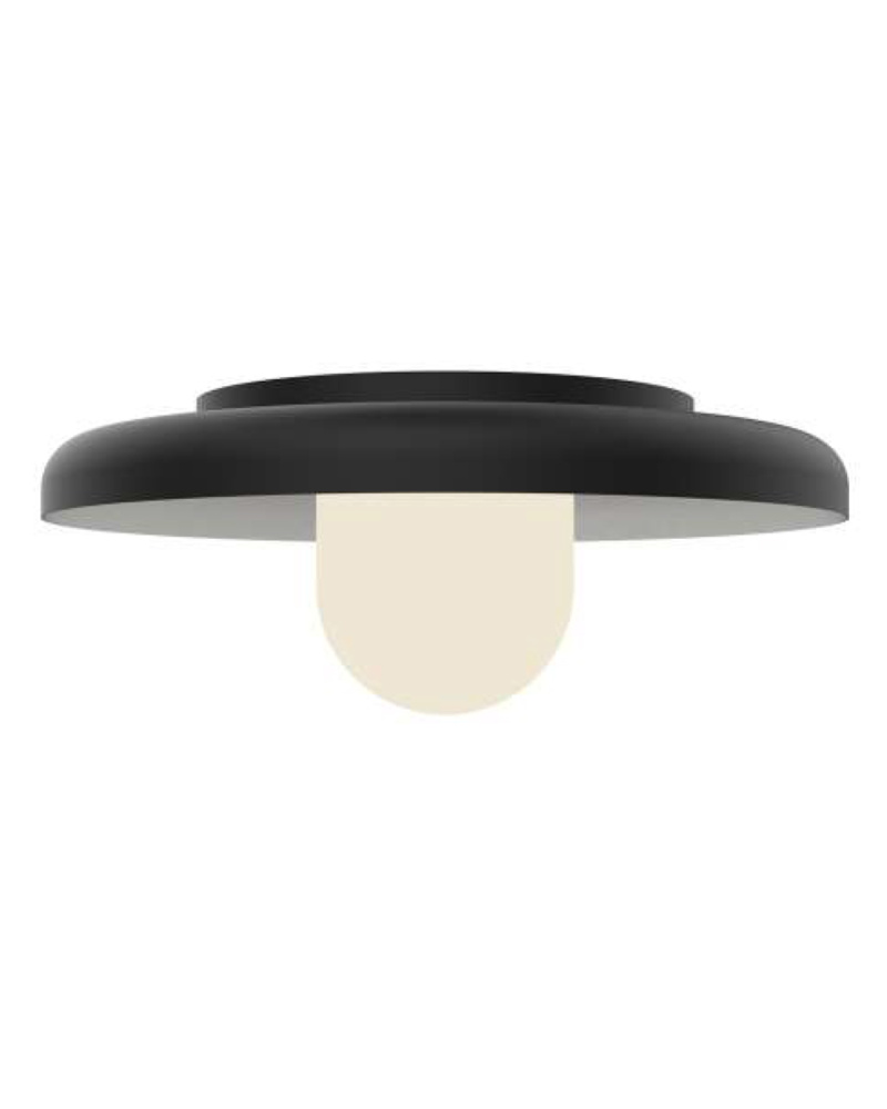 Flush Mounts Black