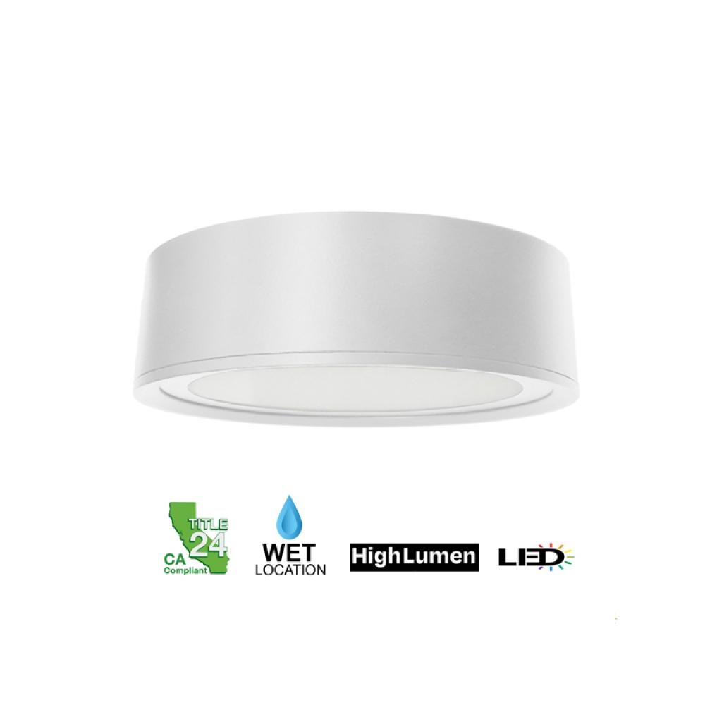 Flush Mount White