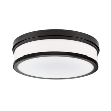 Vinci Lighting Inc. FM3614-BK - Flush Mounts Matte Black