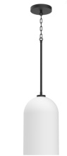 Vinci Lighting Inc. CP5613-BK-WH - Pendents Black