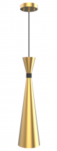 Vinci Lighting Inc. P1422AB - Pendents Aged Brass / Black Detail