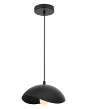 Vinci Lighting Inc. P29011-BK - Pendents Matte Black