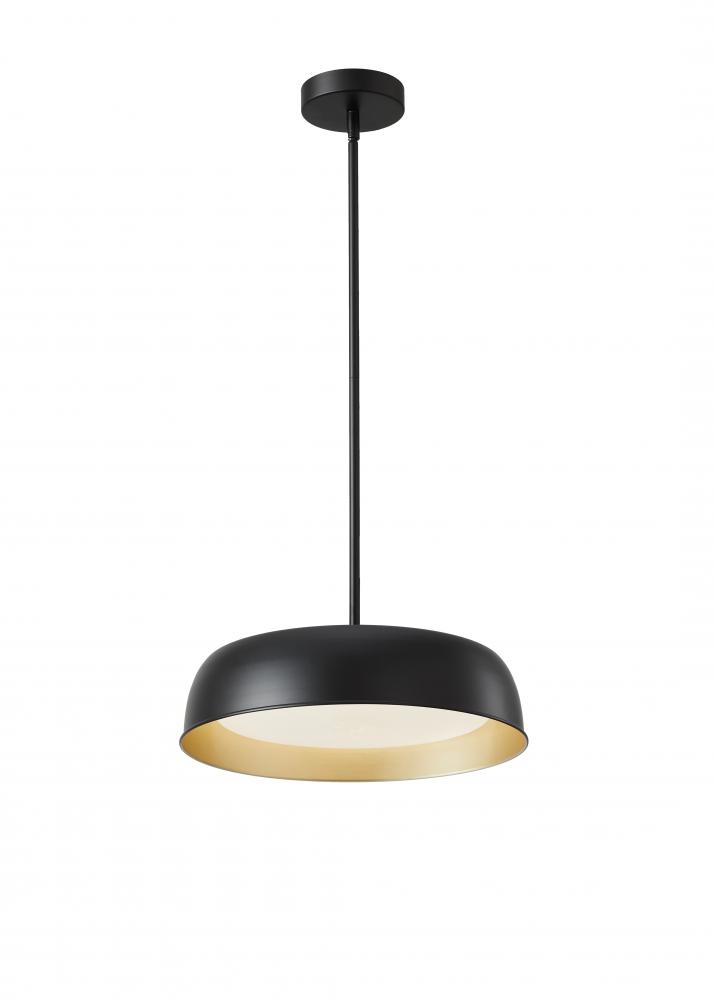 16", 24 W 5CCT Pendant (2700K, 3000K, 4000K, 5000K, 6000K ), initial lumens:2600LM delivered;240