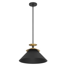 Thesis 207318A - 1L Pendant Light / Luminaire suspendu 1L
