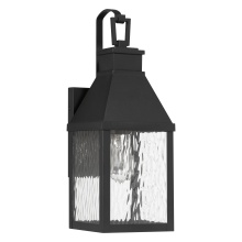 Thesis 207758A - 1L Exterior Wall Sconce / Murale exterieure 1L