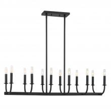 Crystorama BAI-A2112-MK - Bailey 42'' Matte Black Linear Chandelier