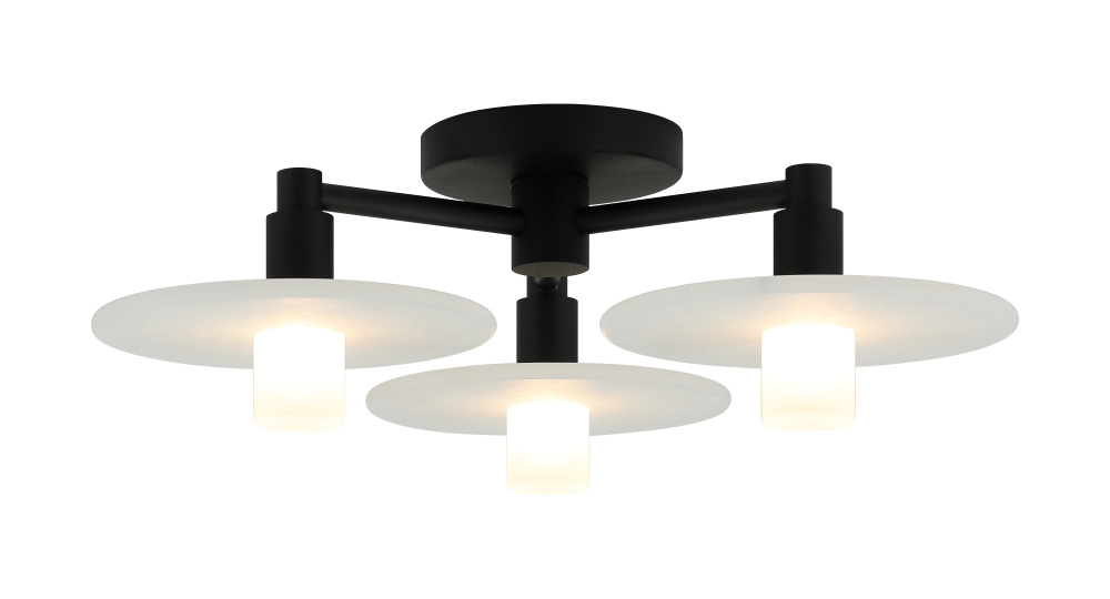 Monument Ceiling Mount Matte Black