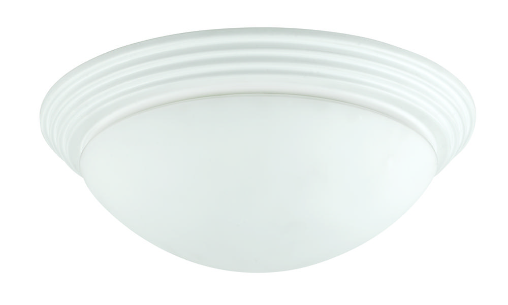 60W X 2 Ceiling Lamp