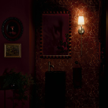 additional image