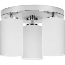 Progress P350238-015 - P350238-015 3-L FLUSHMT