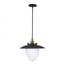 Artcraft AC11906BB - Pendant