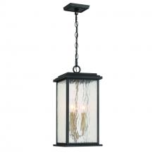 Artcraft AC9275BK - Outdoor Pendant