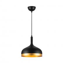 Artcraft SC13350BK - Pendant