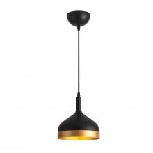Artcraft SC13351BK - Pendant