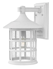 Hinkley Canada 1865TW - Medium Wall Mount Lantern