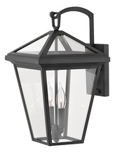 Hinkley Canada 2564MB - Medium Wall Mount Lantern