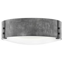 Hinkley Canada 29203DZ - Medium Flush Mount