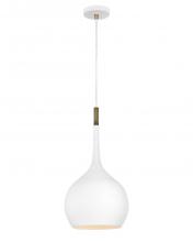 Hinkley Canada 4457CI - Medium Pendant