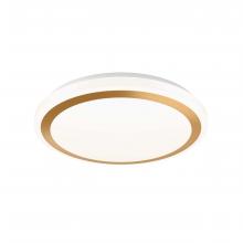 Dals CFG13-CC-GD - CFG13-CC – 13 Round Flush Mount