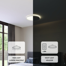 Dals CFH21-CC-BK - 21in Dual-Light Flush Mount, 5CCT - Black