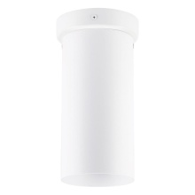 Eglo Canada 204899A - 1L Flush Mount / Plafonnier 1L