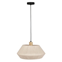 Eglo Canada 205763A - 1L Pendant Light / Luminaire suspendu 1L