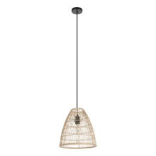 Eglo Canada 43866A - 1L Pendant Light / Luminaire suspendu 1L
