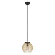 Eglo Canada 900166A - 1L Pendant Light / Luminaire suspendu 1L