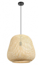 Eglo Canada 206044A - 1L Pendant Light / Luminaire suspendu 1L